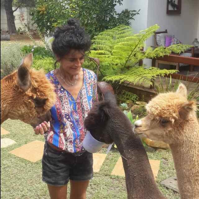 Alpaca Self Catering Cottage 클라인몬드 외부 사진